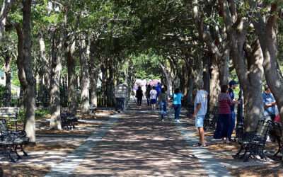 Best East Coast Tours: Unforgettable Journey of Washington DC Sites