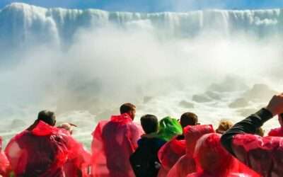 Totally My Tours: Experience Niagara Falls with Our New York Tours